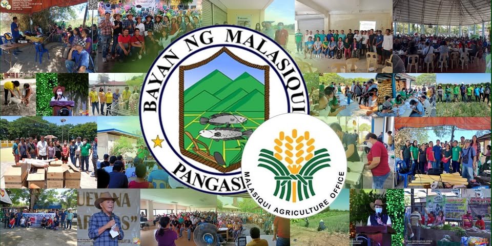 Malasiqui Agriculture Office